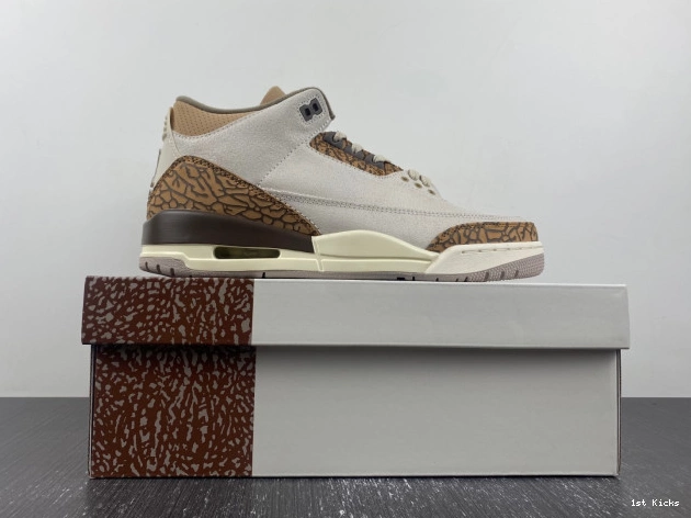 CT8532-102 Jordan Air Palomino 3 0816